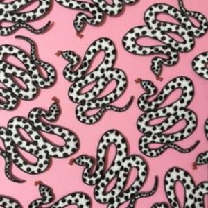 Meet your Posher, Bella